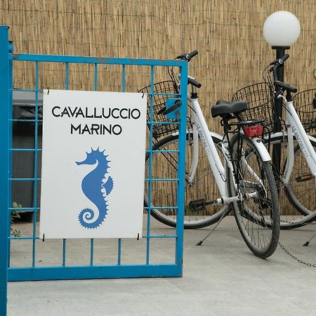 Cavalluccio Marino Apartment Favignana Exterior foto